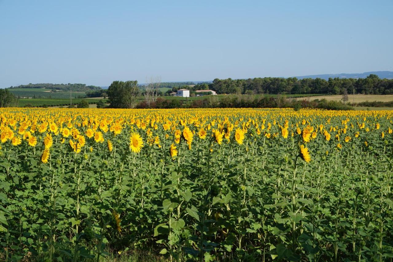Le Clos Des Troubadours Pennautier Dış mekan fotoğraf