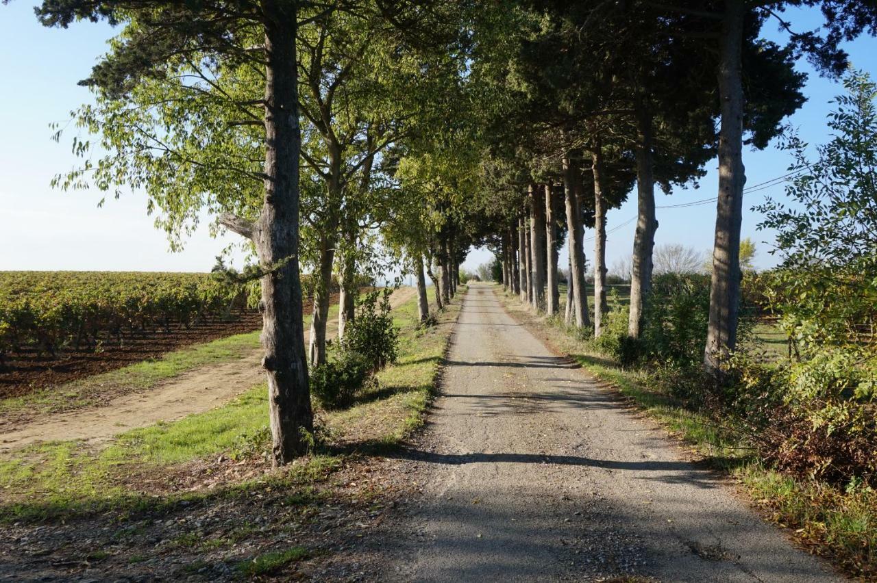 Le Clos Des Troubadours Pennautier Dış mekan fotoğraf